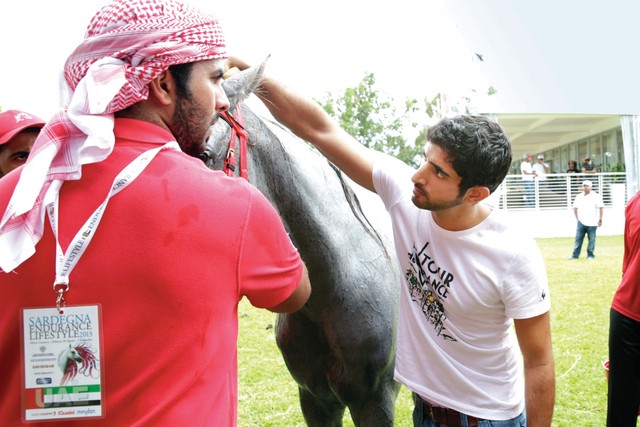 "حمدان بن محمد يربت على الخيل الحائز على اللقب"