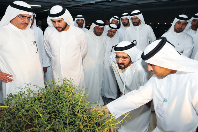 "محمد بن راشد ومكتوم بن محمد وسعيد الطاير وسلطان السبوسي وإعجاب كبير بالزراعة الخضراء على السطح"