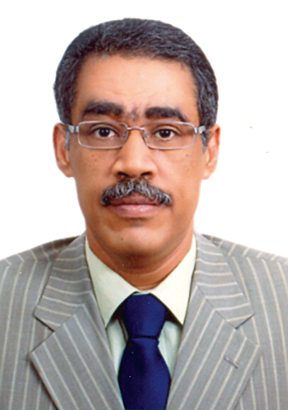 "ضياء رشوان"