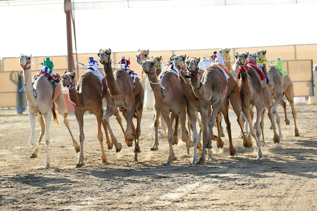 "منافسة قوية"