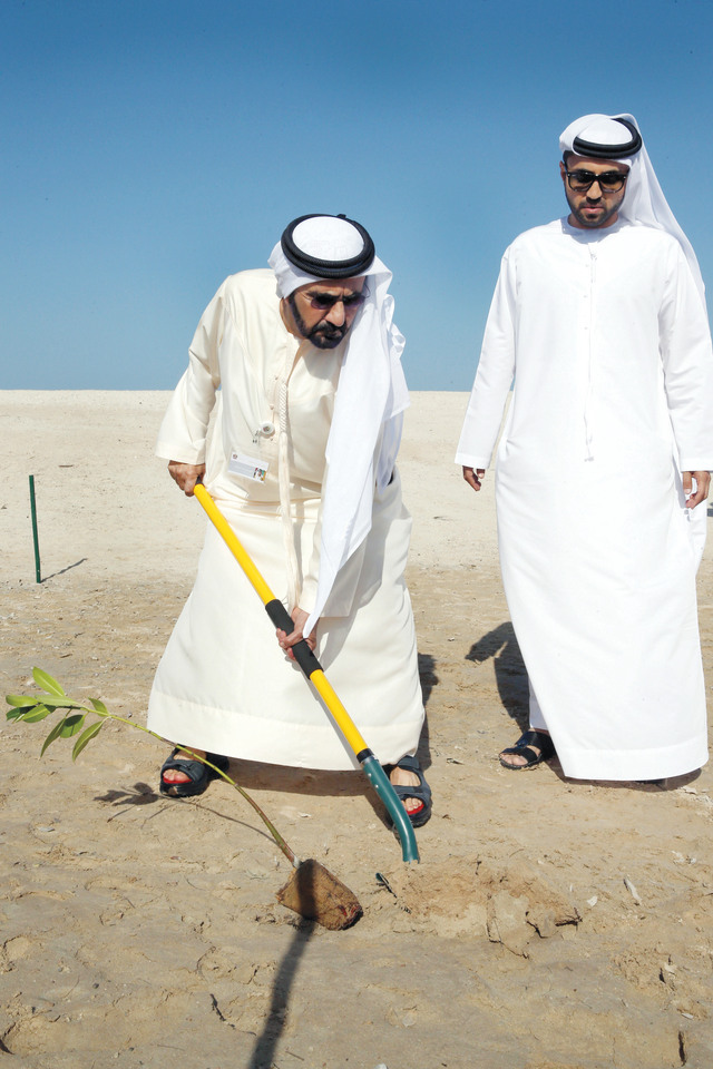 "نائب رئيس الدولة يزرع شجرة قرم «المانجروف الأحمر»"