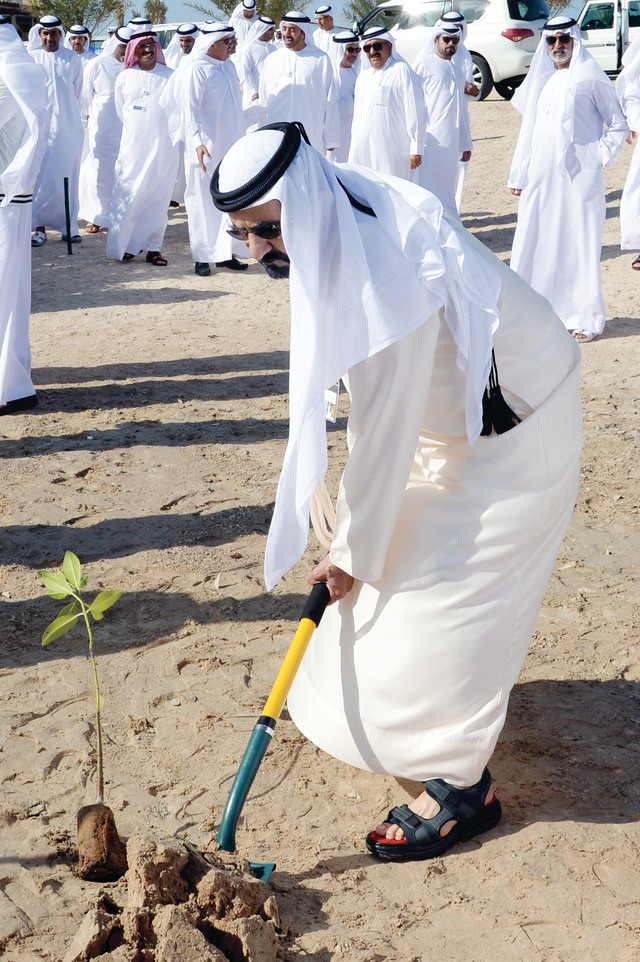 "محمد بن راشد يغرس أول شجرة قرم «المانجروف الأحمر» في محمية الحبارى"