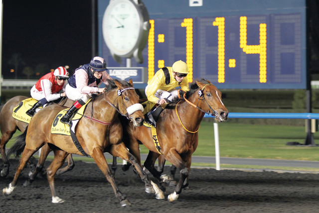 "\"يونليتد كولر \"فى طريقه نحو خط النهاية"