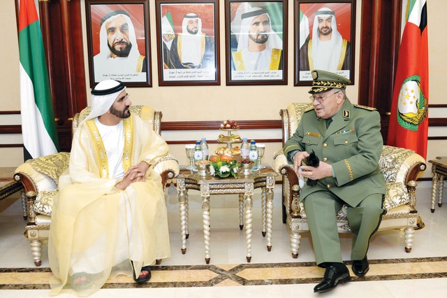 ".. وسموه في حوار مع أحمد صالح \tتصوير ـ سيف محمد"