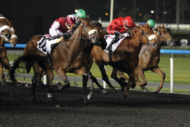 "تنافس مثير متوقع في السباق\t\tالبيان"
