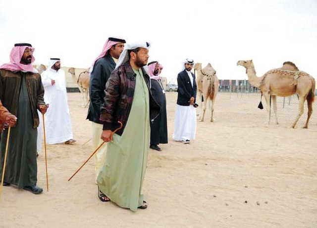 "سلطان بن زايد يتفقد فعاليات مهرجان المزاينه"