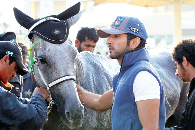 "..وسموه يطمئن على حالة الخيل\t تصوير -موهان"