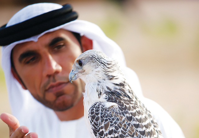 "الصقر حاضر في الفعاليات ثيمة للمجد"