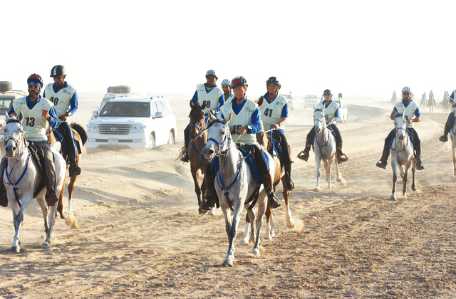 "من سباق القدرة في بوذيب\tالبيان"