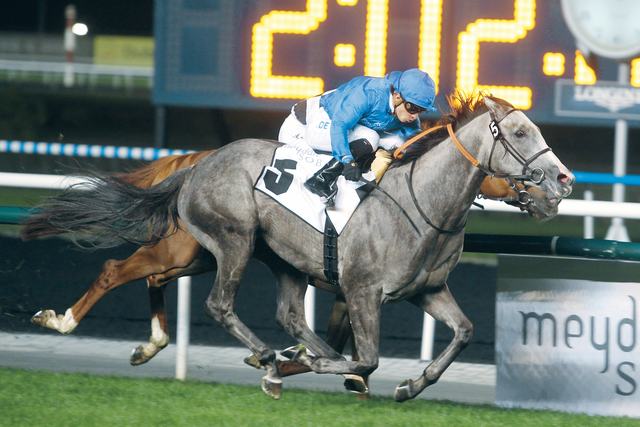 "المهرة \" تصدى \"لحظة وصولها خط النهاية"