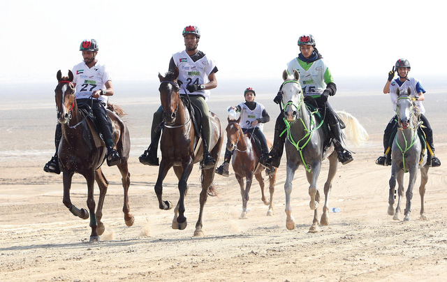 "لقطة من سباق كأس زايد بن منصور للقدرة السابق \t البيان"