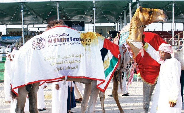 "من مسابقات سابقة للهجن \t\tالبيان"