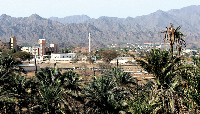 "حتا شاهدة على التاريخ                    تصوير: موهان"