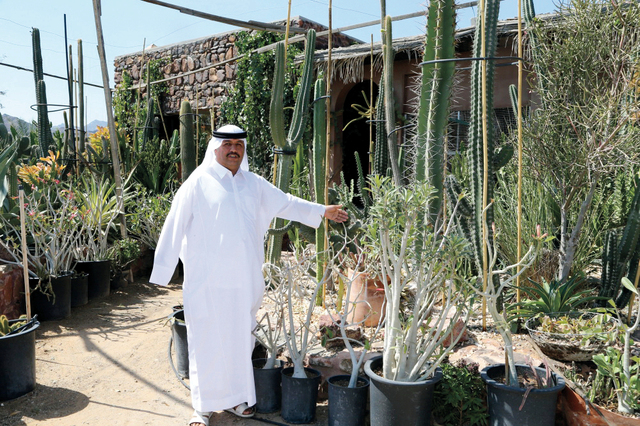 صبار المزروعي جاذب السياح والإعلام