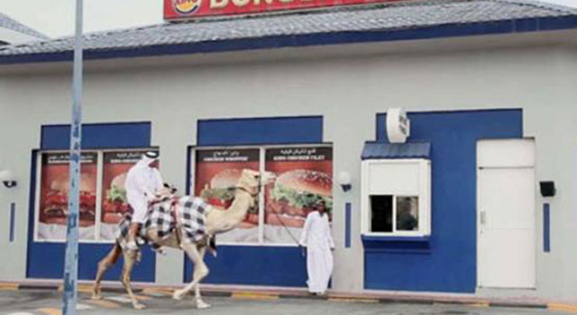 شاهد..خليجي يمتطي جملاً ويطلب برغر من مطعم
