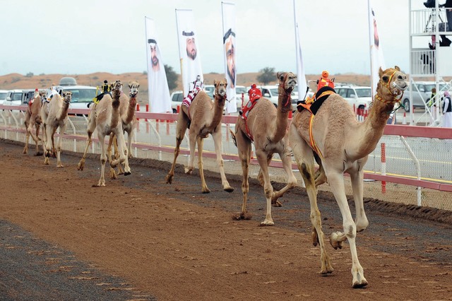 "المهرجان شهد الندية والإثارة في كل سباقاته\tالبيان"