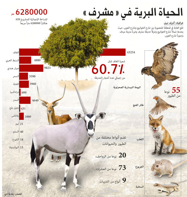 بلدية دبي تطور محمية حديقة مشرف