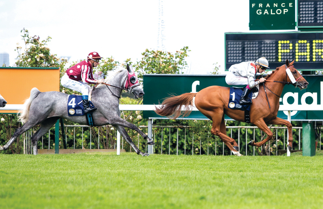 "جولات أوروبا حققت نجاحاً كبيراً في المشاركة والمتابعة الجماهيرية"