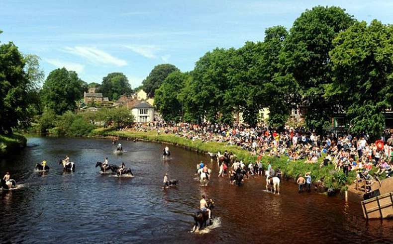 "مهرجان غسل الخيول" تقليد يعود للقرن الـ16