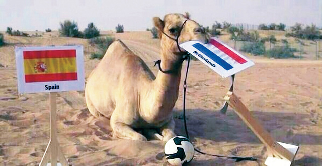 ".. التهام هولندا إسبانيا"