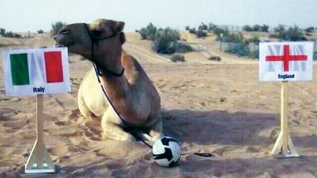 ".. توقعت فوز إيطاليا على انجلترا"
