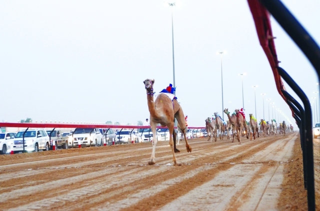 "منافسات مثيرة في الجولة الأولى"