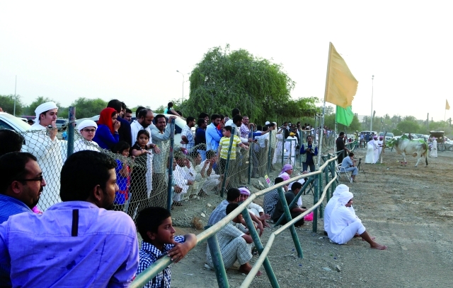 "سباقات رياضية محلية في الفجيرة"