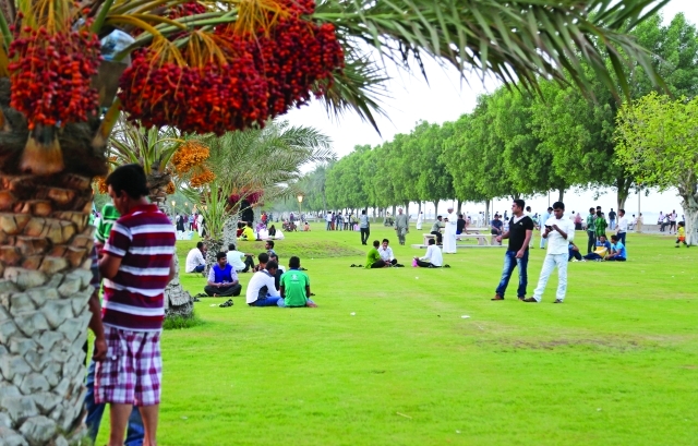 "حدائق الفجيرة متنفس الأسر"