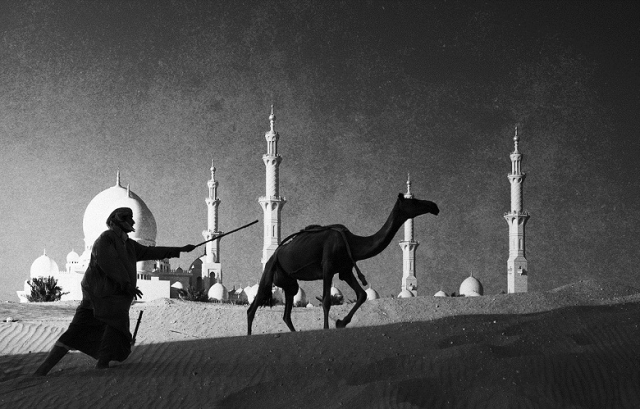 "جمال جماليات- للفنان جورج لويس"