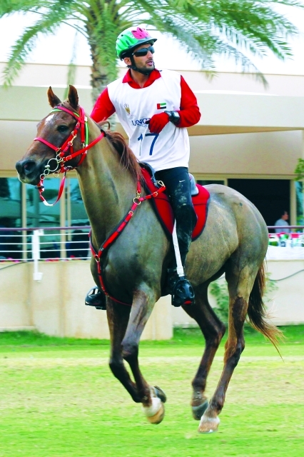 "الفارس راشد بن دلموك"