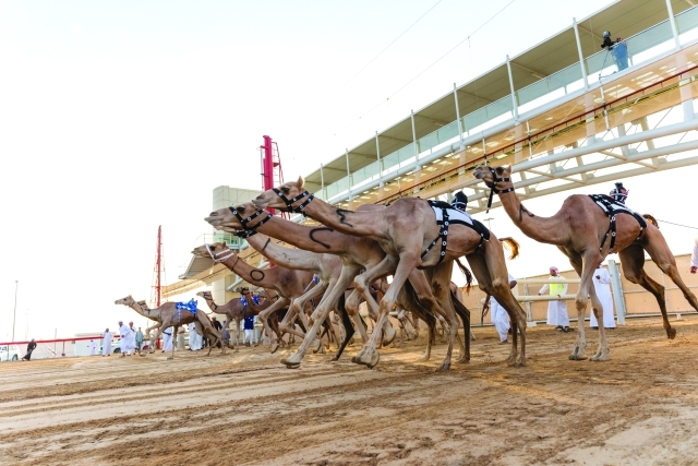 "من منافسات اليوم الثالث"