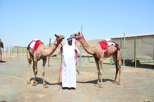 "ابن كراز يتوسط «الواش» و«نسناس»"