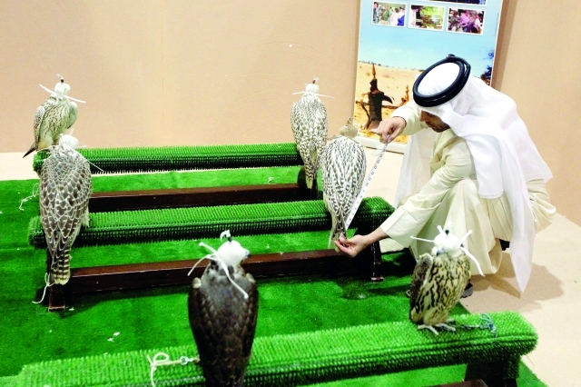 "من فعالية مسابقة الصقور خلال دورة 2012 \t البيان"