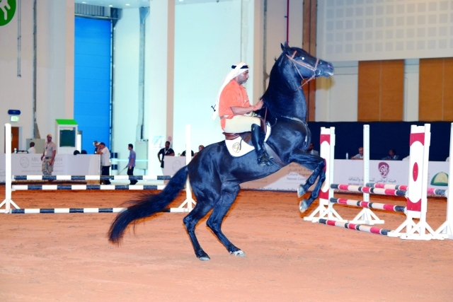 "عروض الفروسية تجذب الزوار"