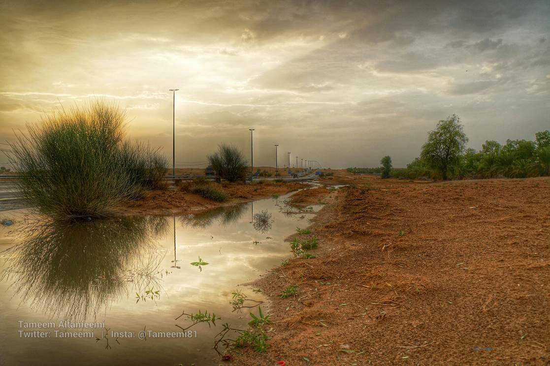بالصور والفيديو .. أمطار أمس الثلاثاء في الإمارات