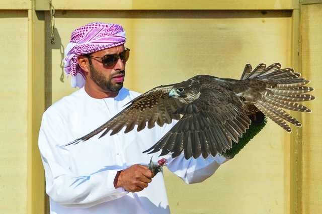 "مع ميريام لم يعد الصيد بالصقور حكراً على الرجال\t البيان"