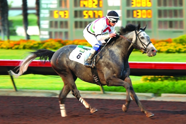 "الجواد «فاليانت بوي» استحق اللقب بجدارة"