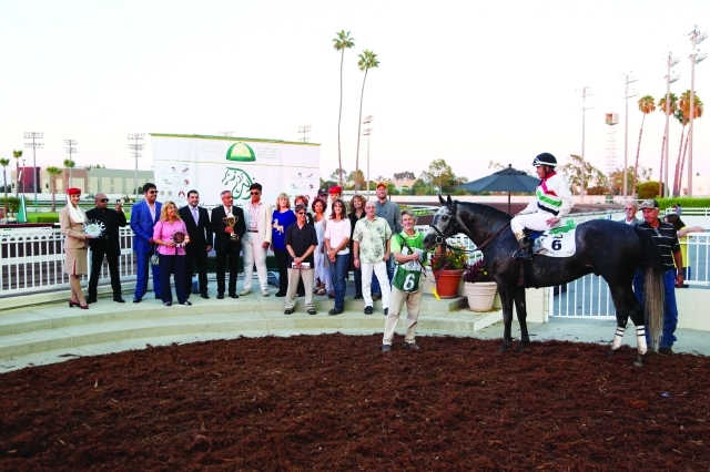 "الجواد البطل يستعرض بعد نهاية السباق"