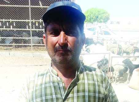 "حاجي سعيد"