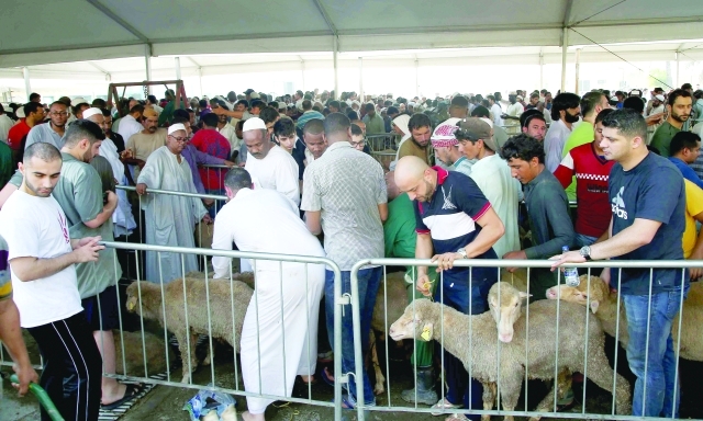 "طوابير المضحين أمام المسالخ في أول أيام العيد"