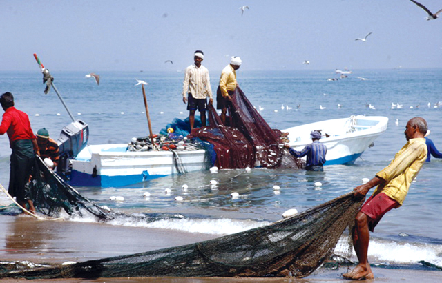 "ارشيفية"