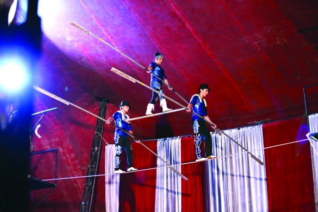 "عروض سيرك ترفيهية"