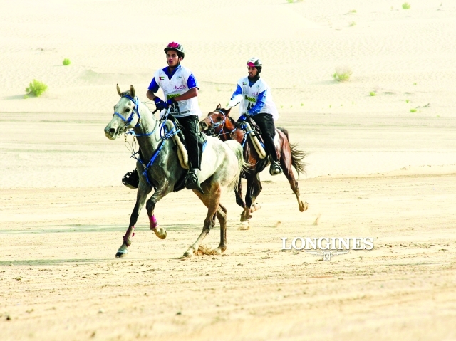 "الموسم ينطلق اليوم \tالبيان"