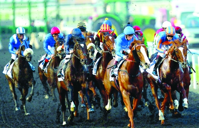 "الكرنفال يستقطب نخبة الخيول العالمية\t\tالبيان"