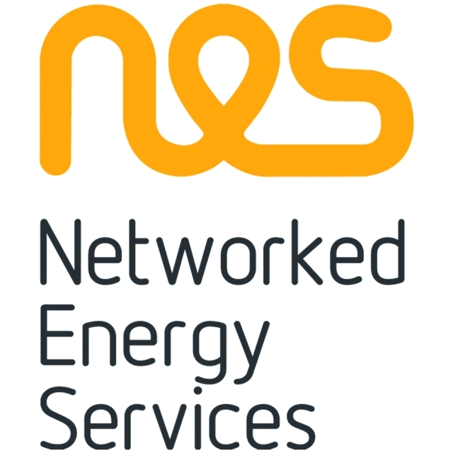 "NES logo"