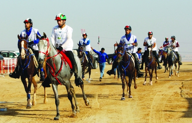 "من سباقات القدرة بالوثبة                    البيان"