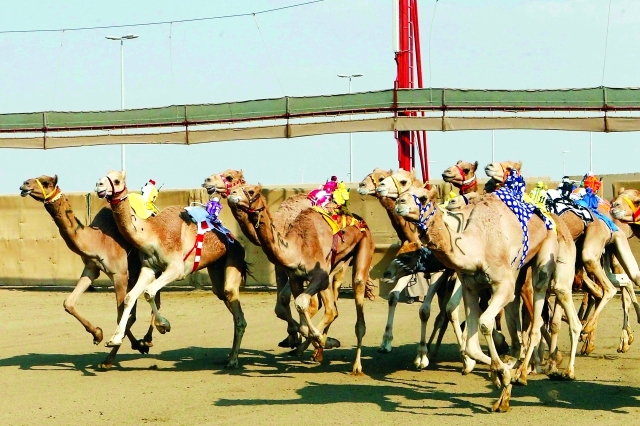 «سيوف» تحلق بالإيذاع و«مبارك» يحصد  الجعدان