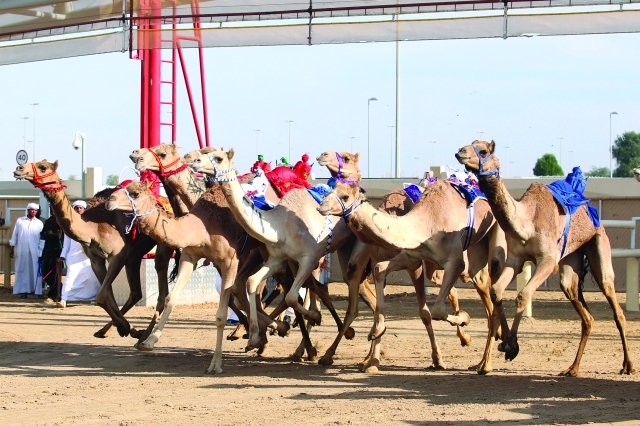 "المنافسات شهدت ندية وإثارة"