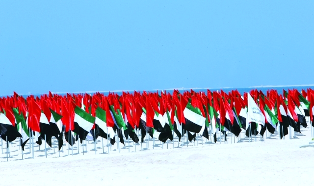 "أعلام الدولة تشكلً لوحة فنية"
