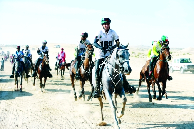 "من سباقات القدرة على ميادين قرية الإمارات العالمية في الوثبة-البيان"